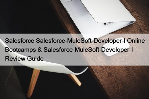 Salesforce Salesforce-MuleSoft-Developer-I Online Bootcamps & Salesforce-MuleSoft-Developer-I Review Guide